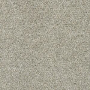 Dreamweaver Carpet Clearwater III Barnwood Carpet 1370_781