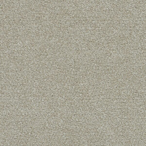 Dreamweaver Carpet Clearwater I Barnwood Carpet 1345_781