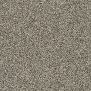 Dreamweaver Carpet Clearwater III Iron Gate Carpet 1370_785