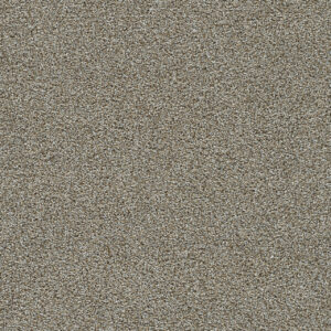 Dreamweaver Carpet Clearwater I Iron Gate Carpet 1345_785