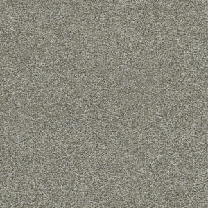 Dreamweaver Carpet Clearwater I Gravel Stone Carpet 1345_790