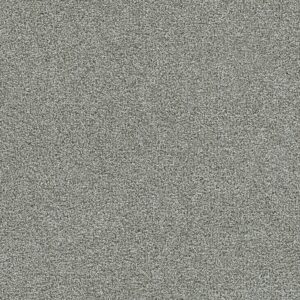 Dreamweaver Carpet Clearwater III Creek Bend Carpet 1370_832