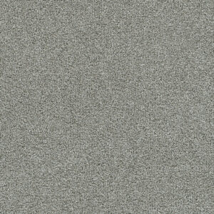 Dreamweaver Carpet Clearwater I Creek Bend Carpet 1345_832