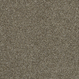 Dreamweaver Carpet Clearwater II Dark Truffle Carpet 1360_834