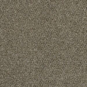 Dreamweaver Carpet Clearwater III Dark Truffle Carpet 1370_834