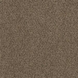 Dreamweaver Carpet Hot Pursuit Fossil Carpet 1424_532