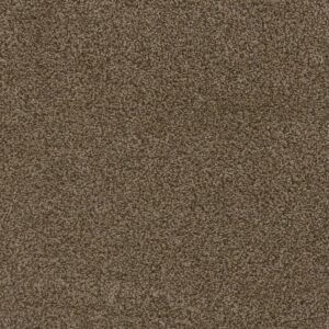 Dreamweaver Carpet Hot Pursuit Bronzite Carpet 1424_717