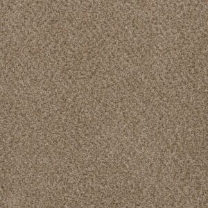 Dreamweaver Carpet Hot Pursuit Sandlot Carpet 1424_753