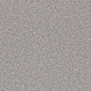 Dreamweaver Carpet Tracker Granite Peaks Carpet 1524_190