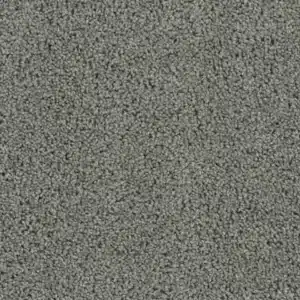 Dreamweaver Carpet Tracker Bayside Carpet 1524_956