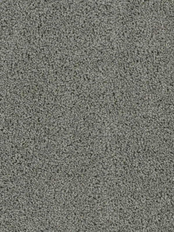 Dreamweaver Carpet Tracker Bayside Carpet 1524_956