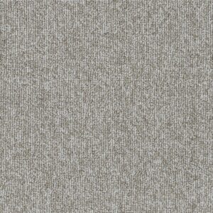 Dreamweaver Carpet Astro Toast Carpet 1535_4635