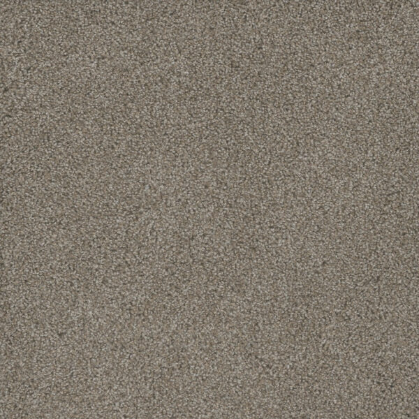 Mill Creek II Thistle Down Carpet 4740_4021