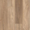 Shaw Floorte Pantheon HD Plus 7" Foresta