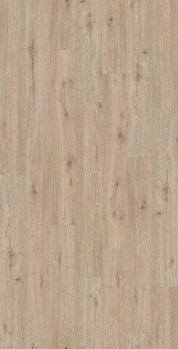Shaw Vinyl Pantheon HD Plus Sabbia 02103_2001V - Image 2