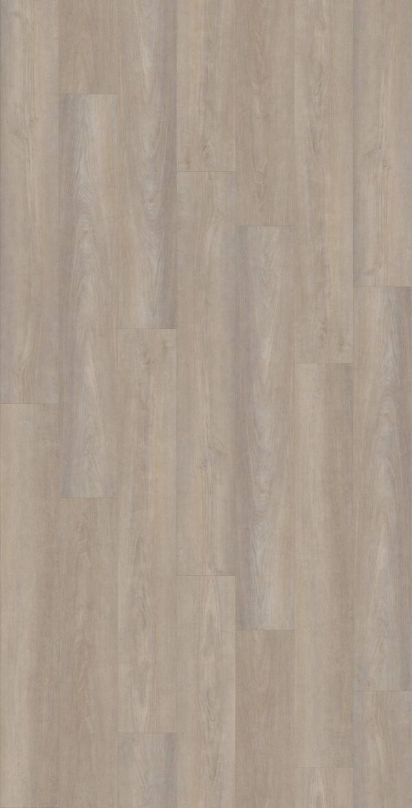 Shaw Vinyl Pantheon HD Plus Cenere 05230_2001V - Image 2
