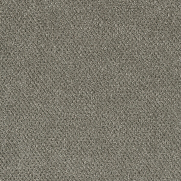 Dreamweaver Carpet Moon Bay Stratosphere Carpet 1228_6054