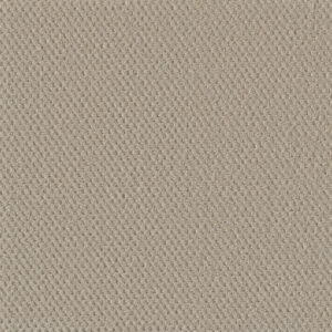 Dreamweaver Carpet Moon Bay Champagne Fizz Carpet 1228_6309