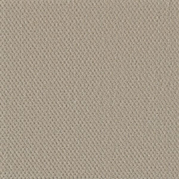 Dreamweaver Carpet Moon Bay Champagne Fizz Carpet 1228_6309