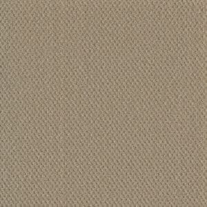 Dreamweaver Carpet Moon Bay Soft Pine Carpet 1228_6317
