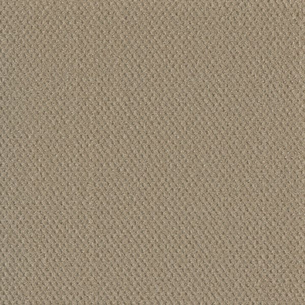 Dreamweaver Carpet Moon Bay Soft Pine Carpet 1228_6317