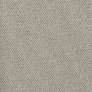 Dreamweaver Carpet Moon Bay Snow Cap Carpet 1228_6319