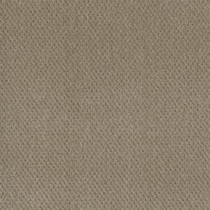 Dreamweaver Carpet Moon Bay Warm Sand Carpet 1228_6339