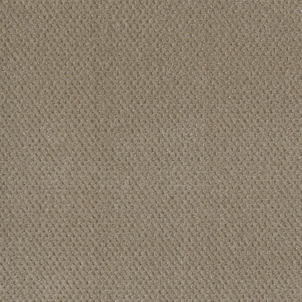 Dreamweaver Carpet Moon Bay Warm Sand Carpet 1228_6339