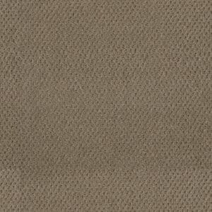 Dreamweaver Carpet Moon Bay Deer Path Carpet 1228_6564