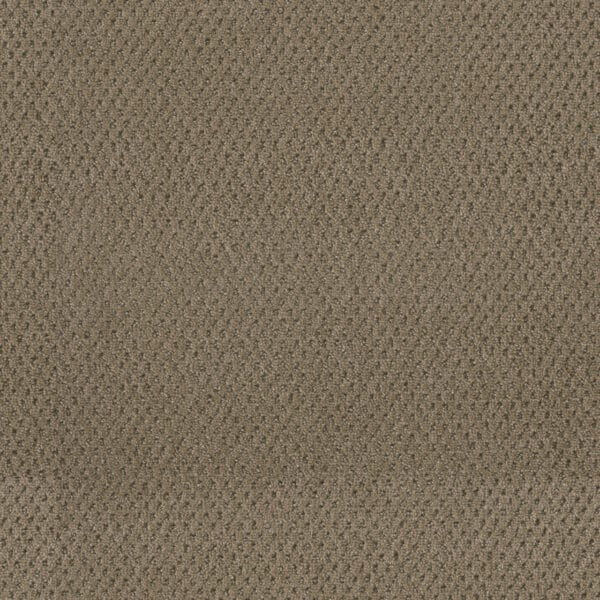 Dreamweaver Carpet Moon Bay Deer Path Carpet 1228_6564