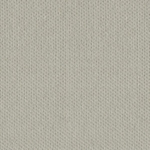 Dreamweaver Carpet Moon Bay Cloud Nine Carpet 1228_6809