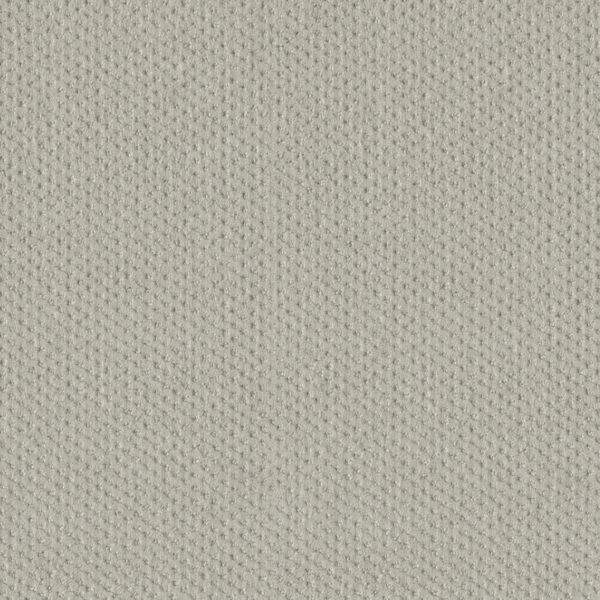 Dreamweaver Carpet Moon Bay Cloud Nine Carpet 1228_6809