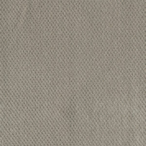 Dreamweaver Carpet Moon Bay Arrowhead Carpet 1228_6827