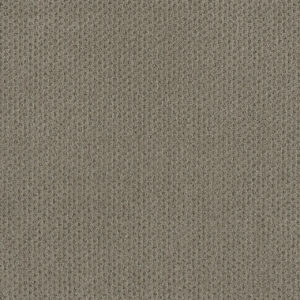 Dreamweaver Carpet Moon Bay Timber Ridge Carpet 1228_6841