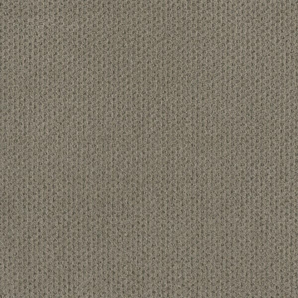 Dreamweaver Carpet Moon Bay Timber Ridge Carpet 1228_6841