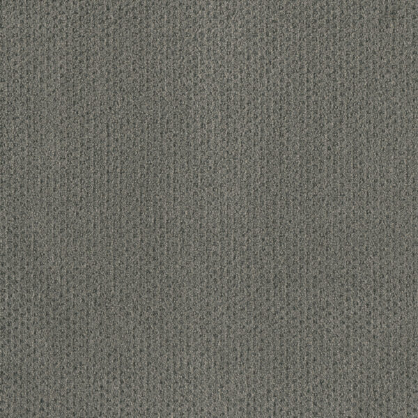 Dreamweaver Carpet Moon Bay Bayside Carpet 1228_956