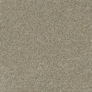 Dreamweaver Carpet Acclaim Rhinestone Carpet 1324_116