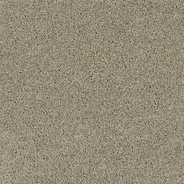 Dreamweaver Carpet Acclaim Rhinestone Carpet 1324_116