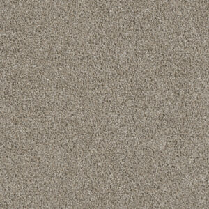 Dreamweaver Carpet Acclaim Vela Carpet 1324_164