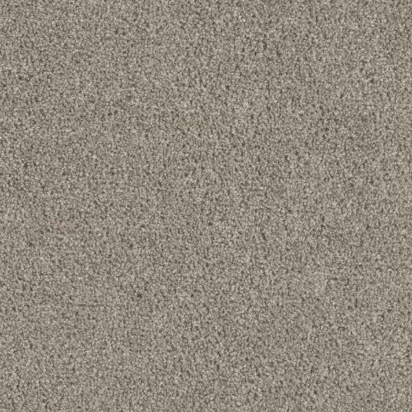 Dreamweaver Carpet Acclaim Vela Carpet 1324_164