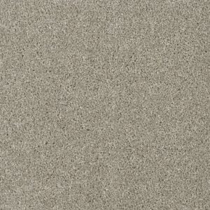 Dreamweaver Carpet Acclaim Jet Stream Carpet 1324_200