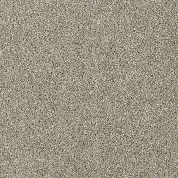 Dreamweaver Carpet Acclaim Jet Stream Carpet 1324_200