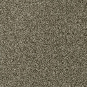 Dreamweaver Carpet Acclaim Monaco Carpet 1324_244
