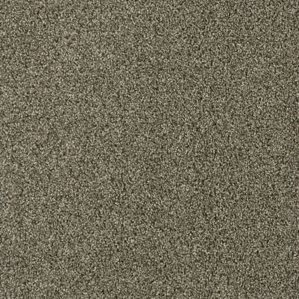 Dreamweaver Carpet Acclaim Monaco Carpet 1324_244