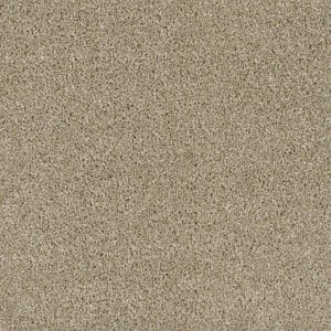 Dreamweaver Carpet Acclaim Outback Carpet 1324_298