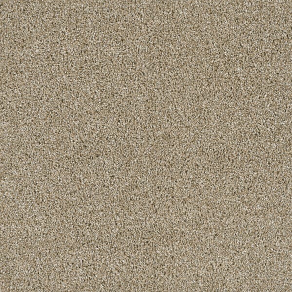 Dreamweaver Carpet Acclaim Outback Carpet 1324_298