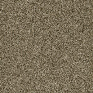 Dreamweaver Carpet Acclaim Island Spice Carpet 1324_307