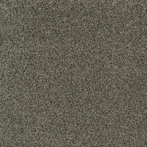 Dreamweaver Carpet Acclaim Midnight Shadow Carpet 1324_427