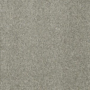 Dreamweaver Carpet Acclaim Sandy Trail Carpet 1324_495