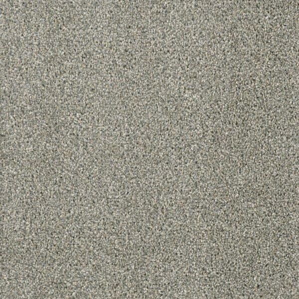Dreamweaver Carpet Acclaim Sandy Trail Carpet 1324_495